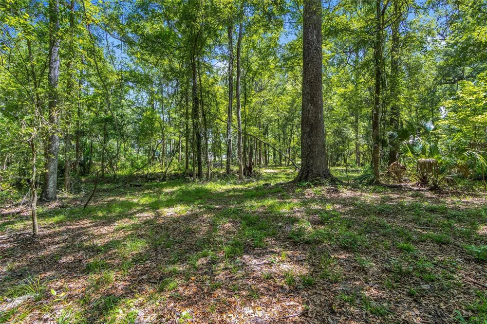 24050 CORTEZ BOULEVARD Brooksville, FL 34601