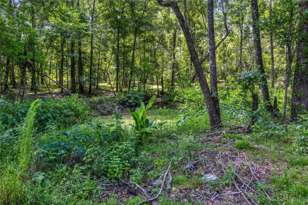 24050 CORTEZ BOULEVARD Brooksville, FL 34601