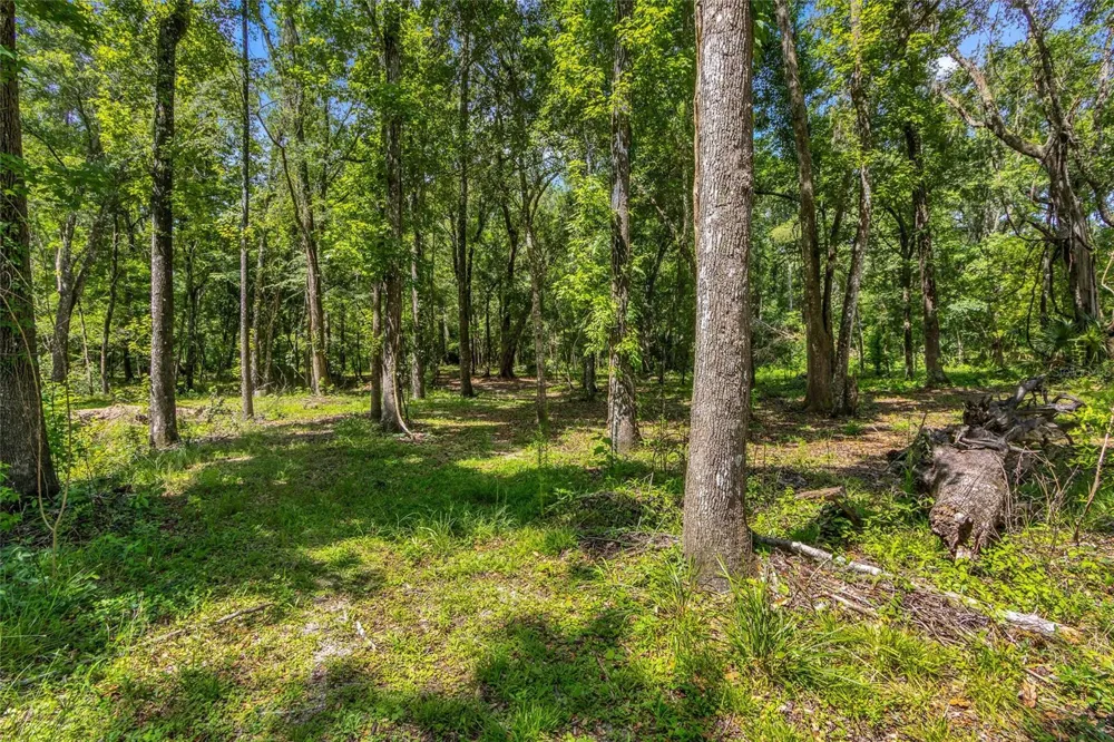 24050 CORTEZ BOULEVARD Brooksville, FL 34601