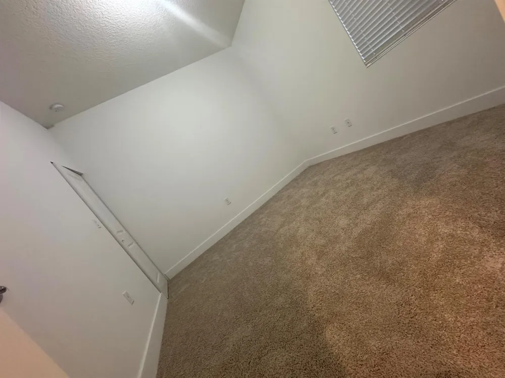 5120 Nevola Avenue Ave Maria, FL 34142