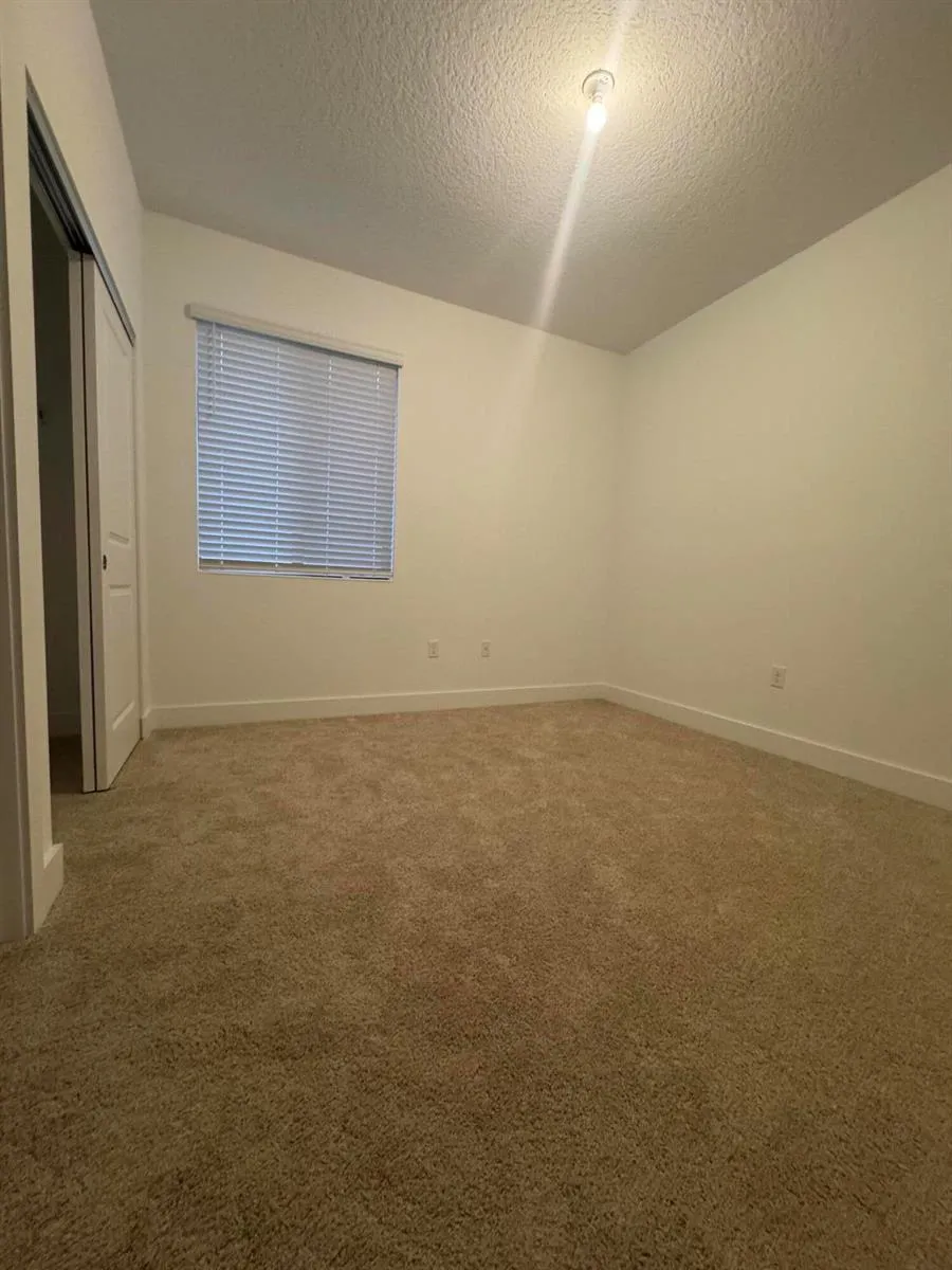 5120 Nevola Avenue Ave Maria, FL 34142