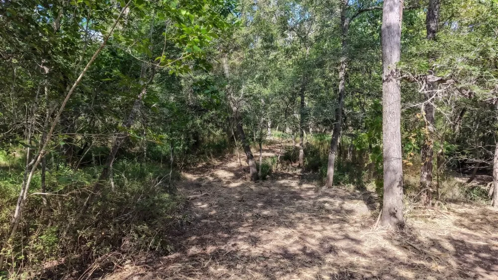 CR 418A (Wahle Road) Bartlett, TX 76511