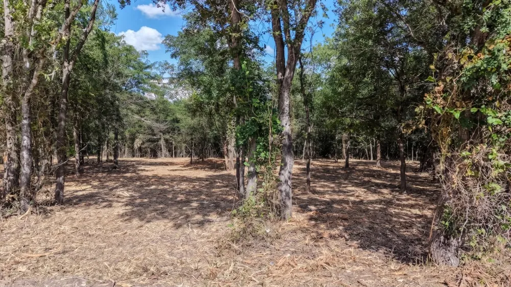 CR 418A (Wahle Road) Bartlett, TX 76511