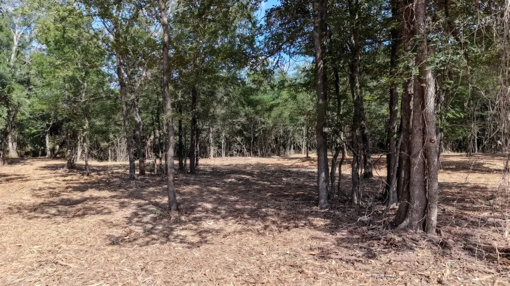 CR 418A (Wahle Road) Bartlett, TX 76511