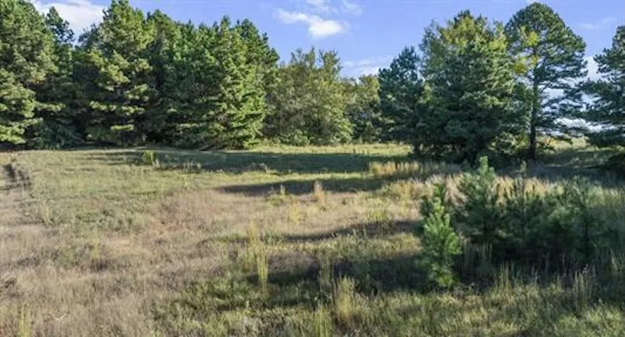 17218 Stella Maris Street Winona, TX 75792