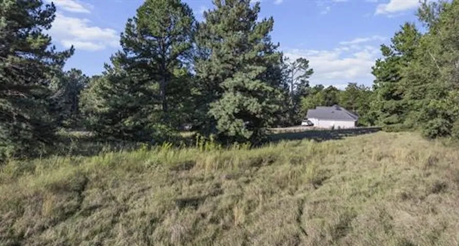17218 Stella Maris Street Winona, TX 75792