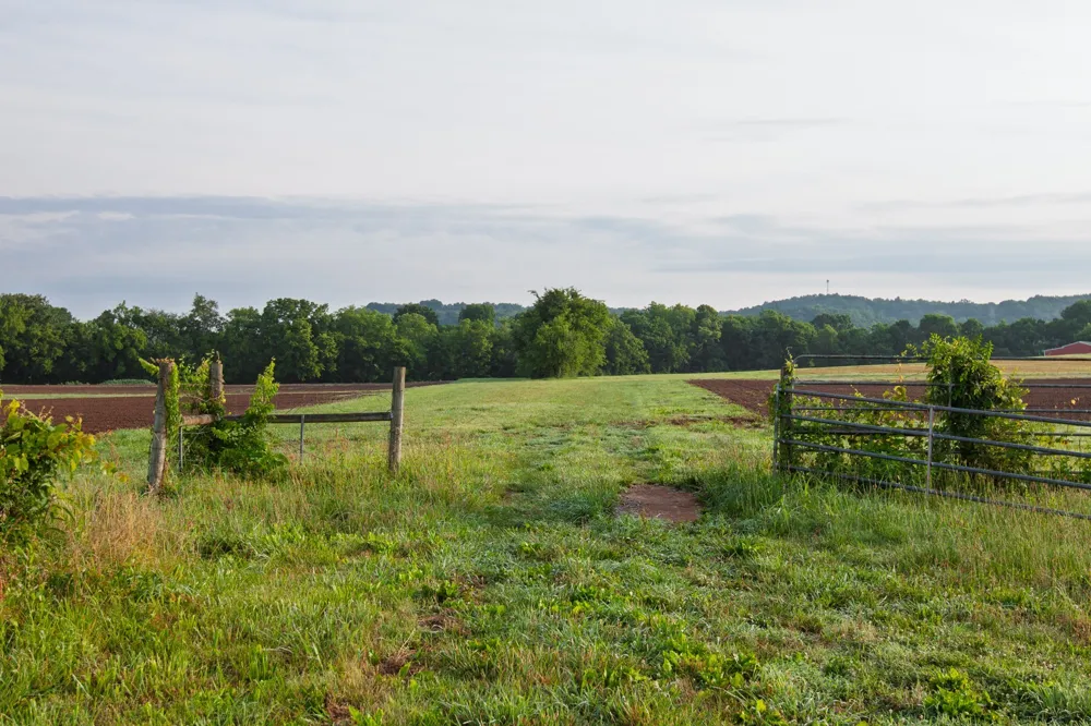 2023 Dr Robertson Rd Spring Hill, TN 37174
