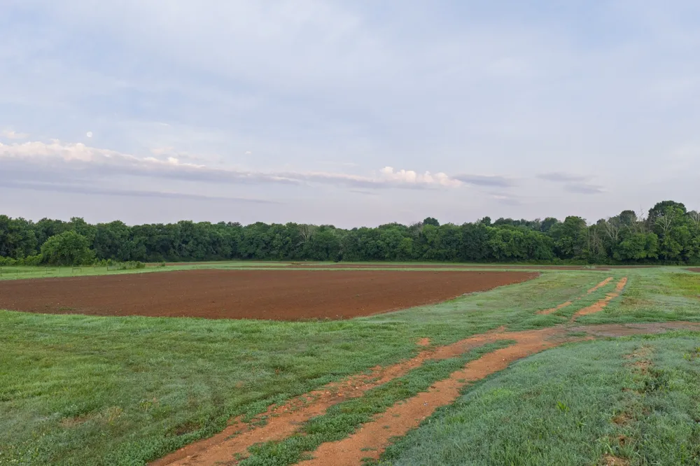 2023 Dr Robertson Rd Spring Hill, TN 37174