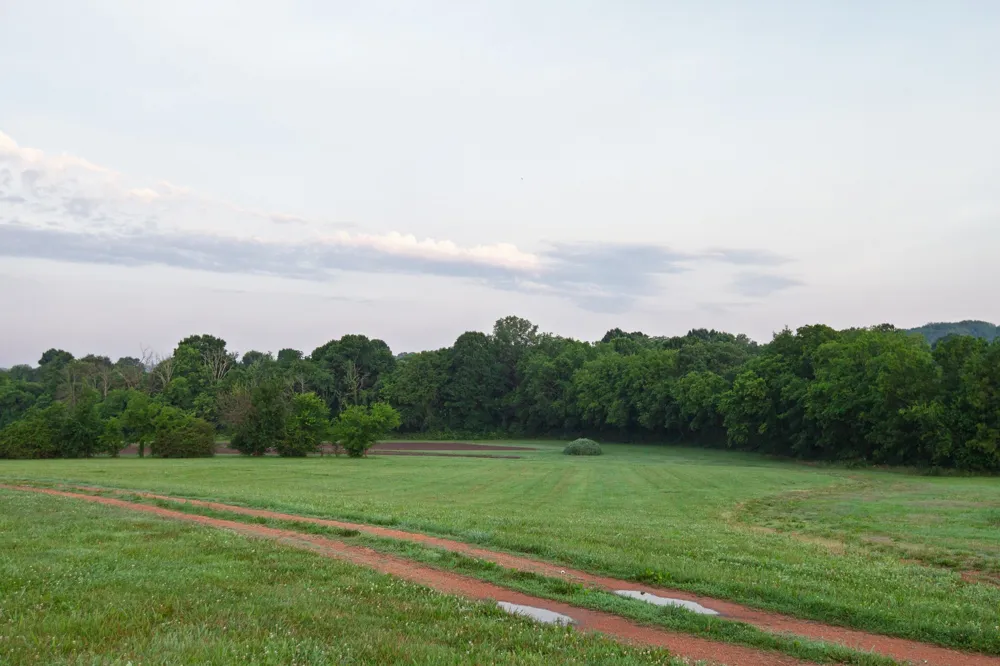 2023 Dr Robertson Rd Spring Hill, TN 37174