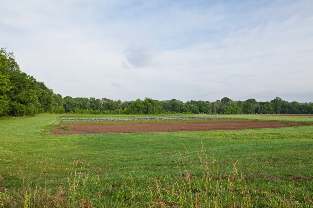 2023 Dr Robertson Rd Spring Hill, TN 37174
