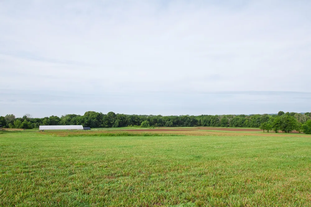 2023 Dr Robertson Rd Spring Hill, TN 37174
