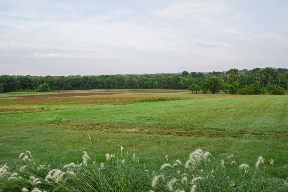 2023 Dr Robertson Rd Spring Hill, TN 37174