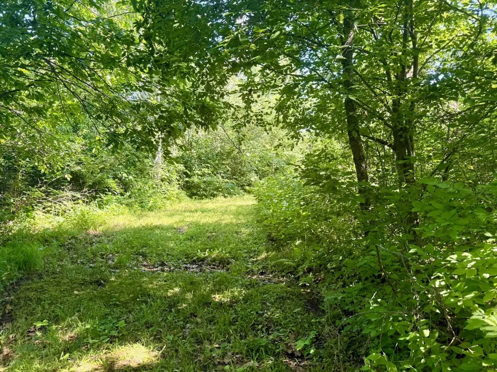 38252 Cloverdale Road Hinckley, MN 55037