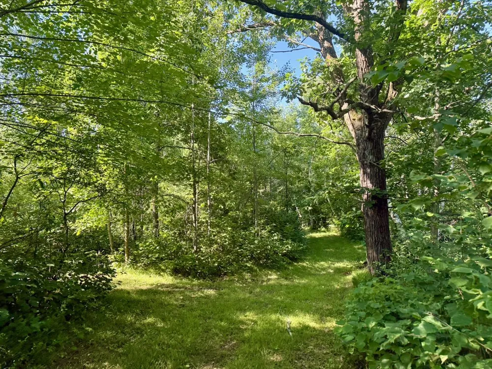 38252 Cloverdale Road Hinckley, MN 55037