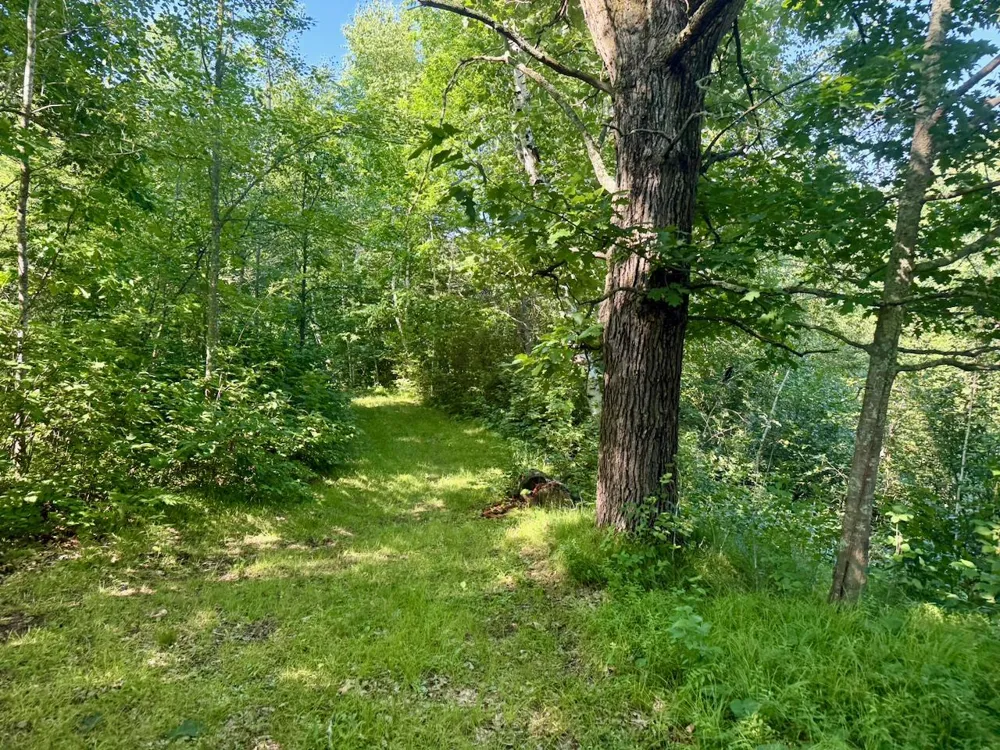 38252 Cloverdale Road Hinckley, MN 55037