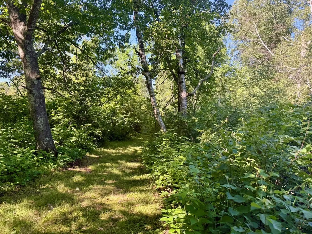 38252 Cloverdale Road Hinckley, MN 55037
