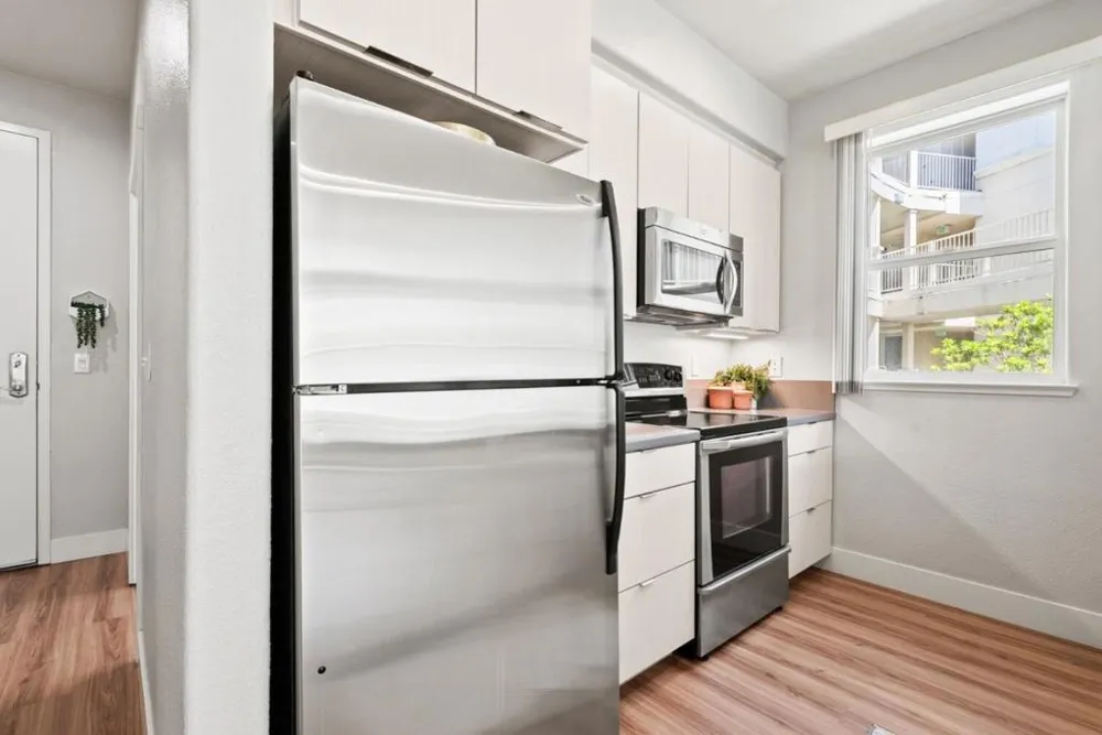 2030 Pacific Avenue #237 Santa Cruz, CA 95060
