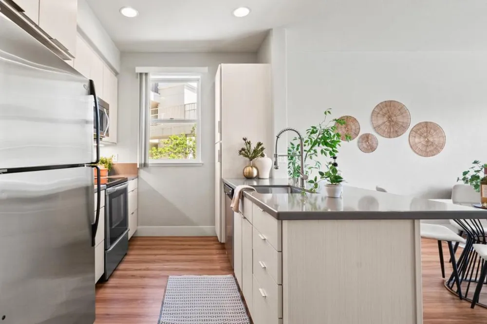 2030 Pacific Avenue #237 Santa Cruz, CA 95060
