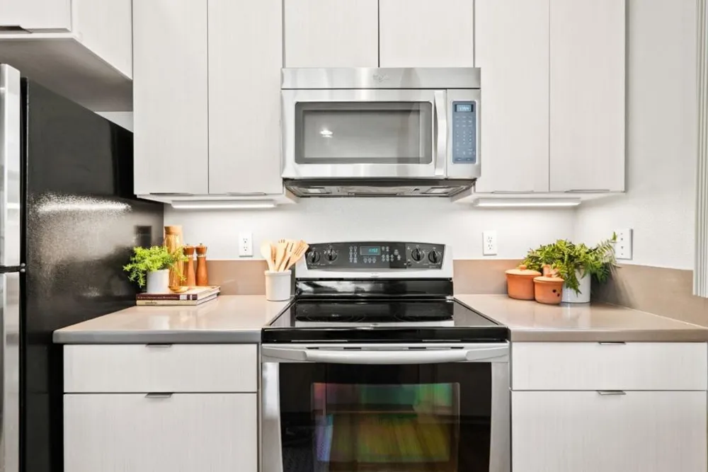 2030 Pacific Avenue #237 Santa Cruz, CA 95060
