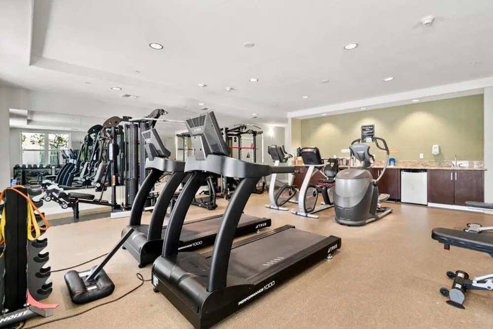 2030 Pacific Avenue #237 Santa Cruz, CA 95060