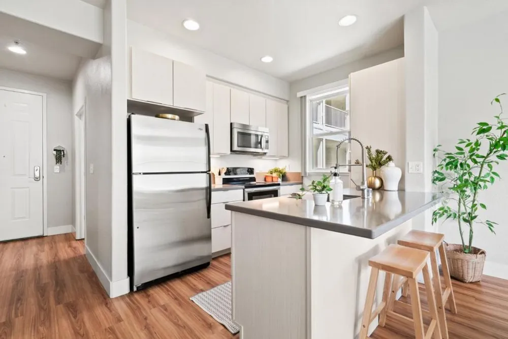 2030 Pacific Avenue #237 Santa Cruz, CA 95060