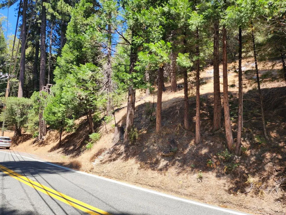 Dart Canyon Road Crestline, CA 92325