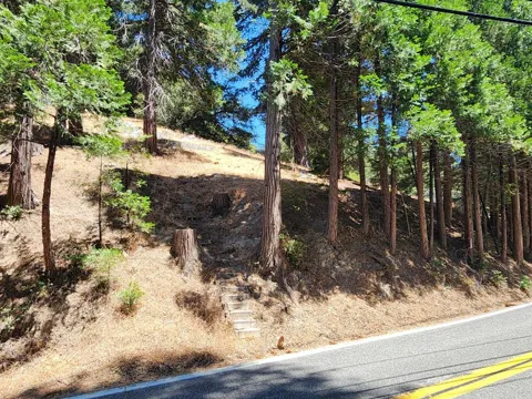 Dart Canyon Road