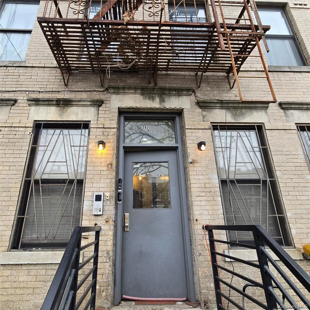 392 New Jersey Avenue #392-1 Brooklyn, NY 11207