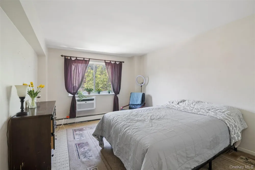 101 Clinton Avenue #3H Mineola, NY 11501