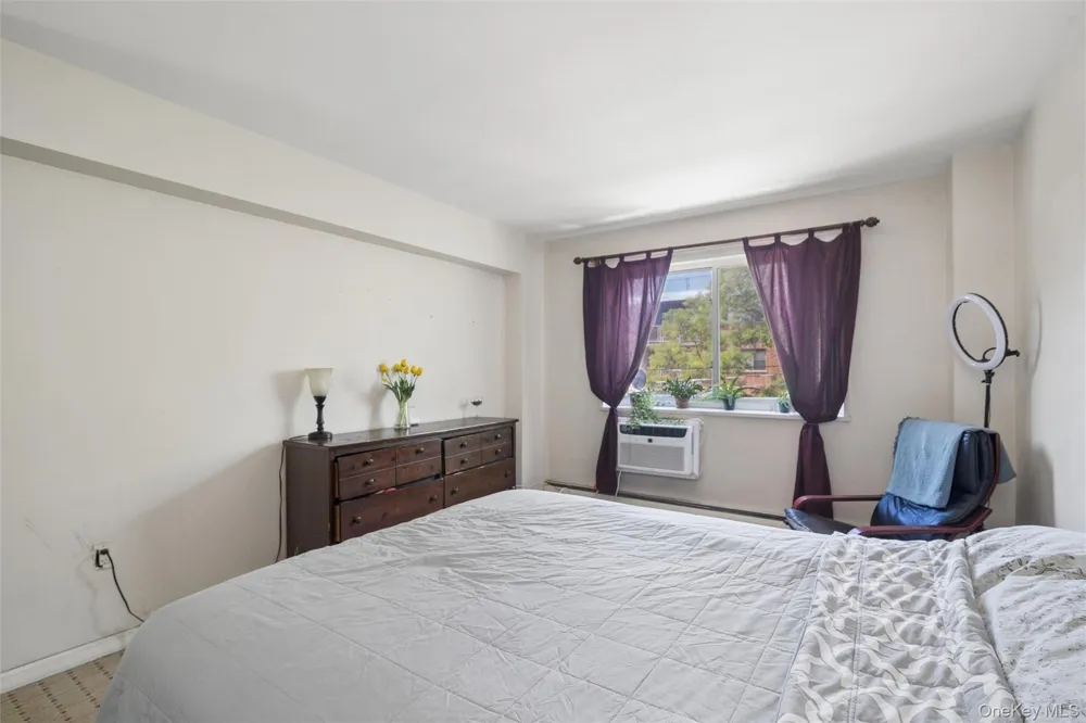 101 Clinton Avenue #3H Mineola, NY 11501