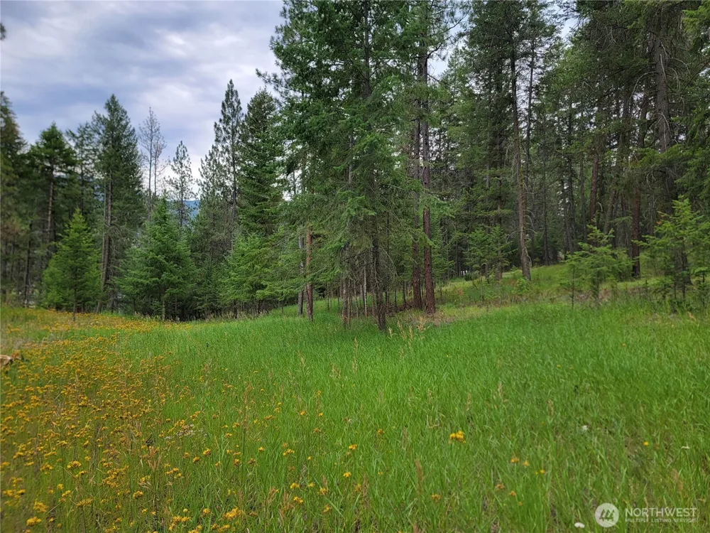 40 Evergreen Drive Curlew, WA 99118