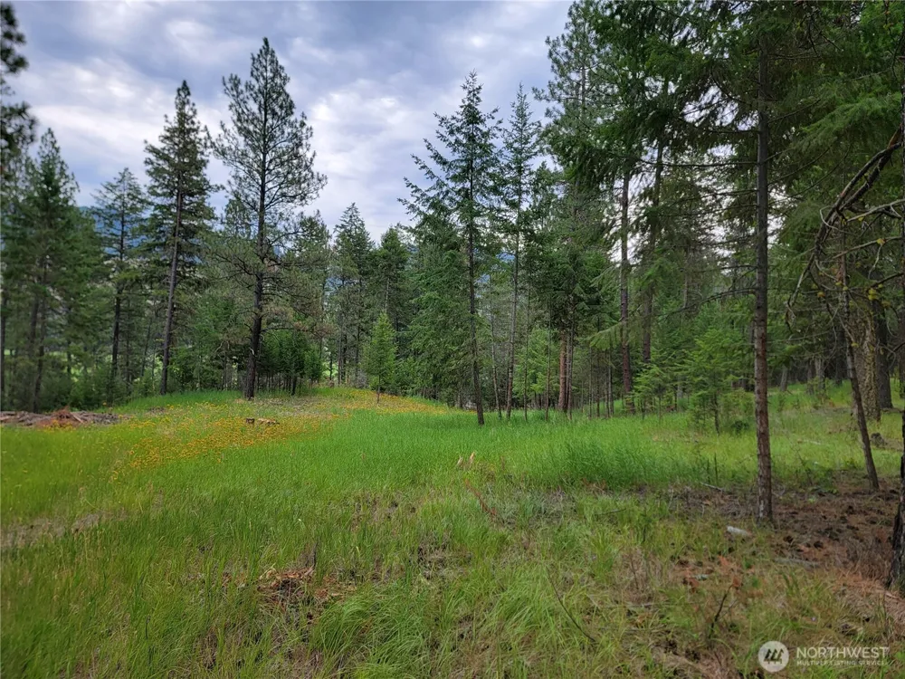 40 Evergreen Drive Curlew, WA 99118