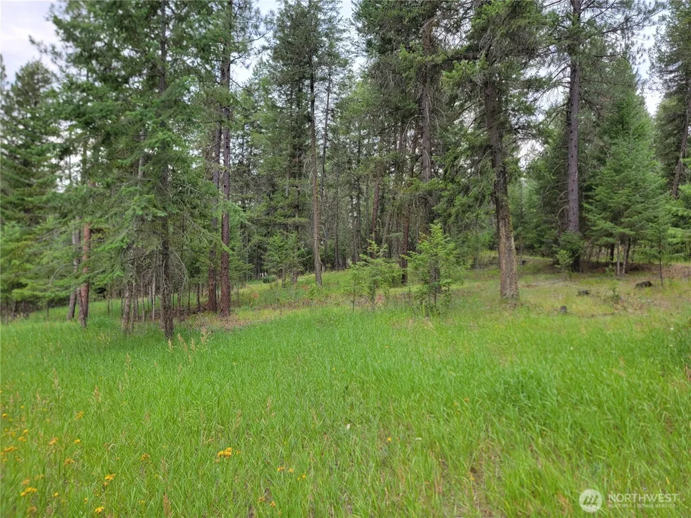 40 Evergreen Drive Curlew, WA 99118