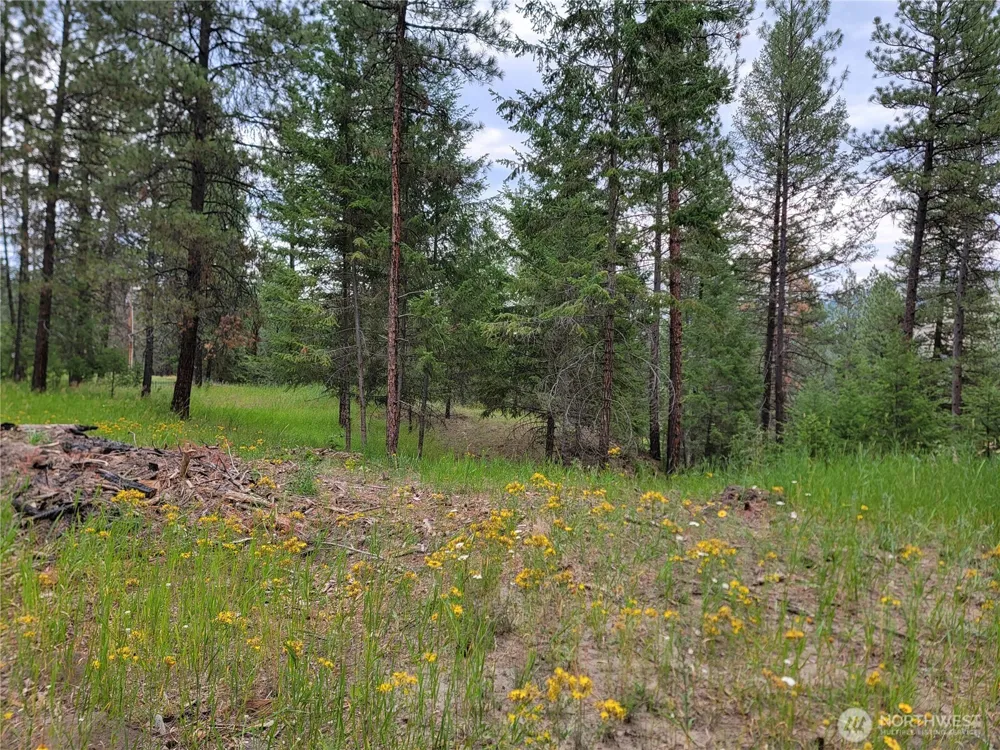 40 Evergreen Drive Curlew, WA 99118
