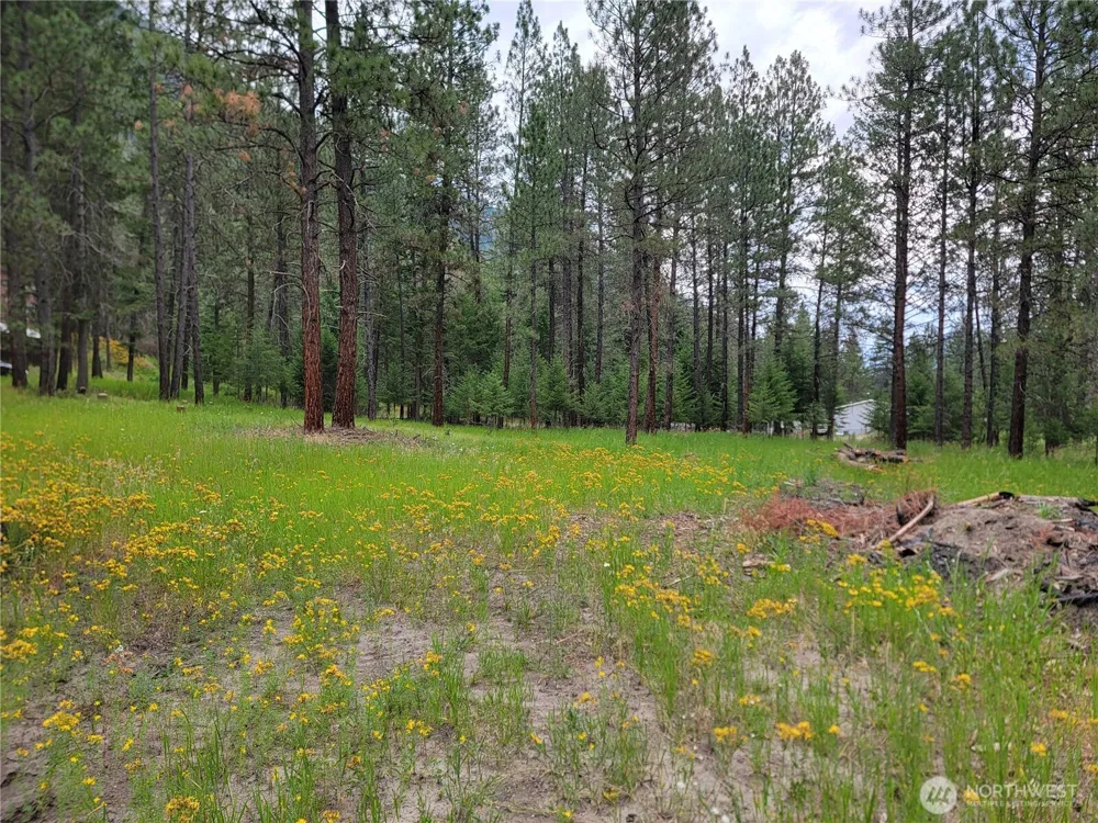 40 Evergreen Drive Curlew, WA 99118