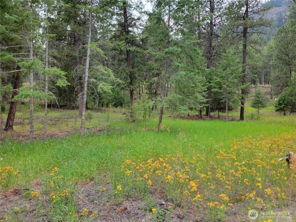 40 Evergreen Drive Curlew, WA 99118