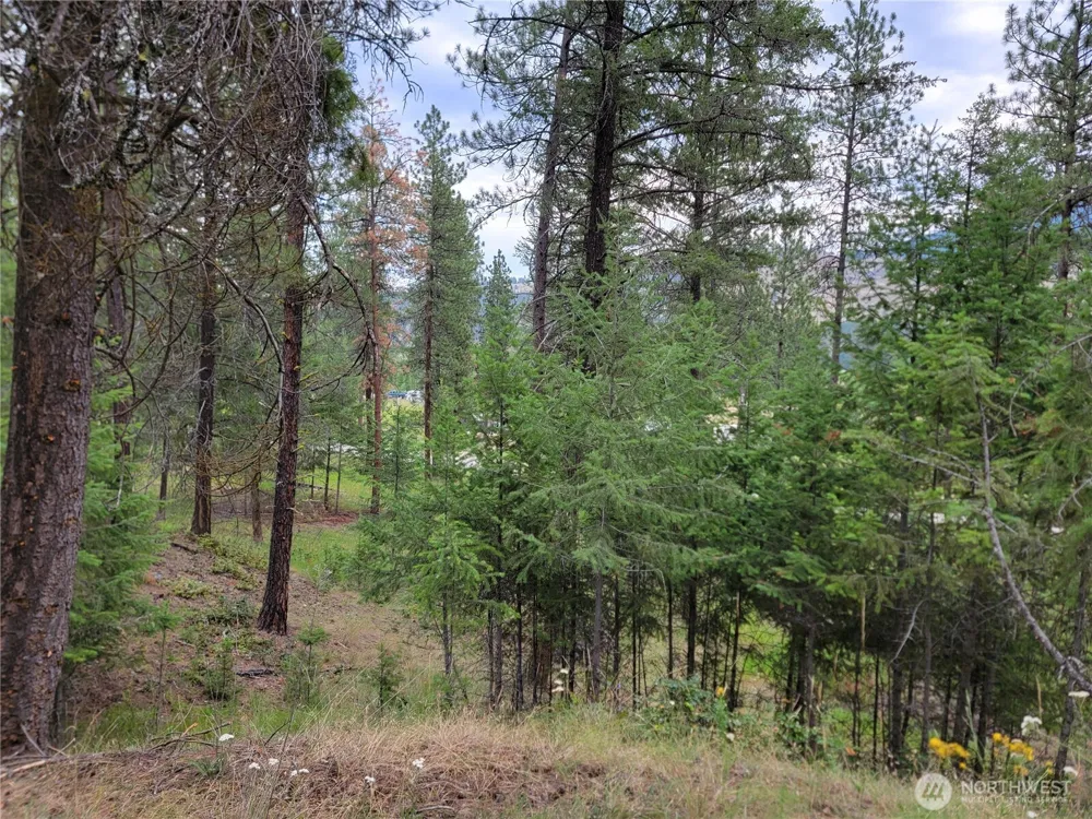 40 Evergreen Drive Curlew, WA 99118