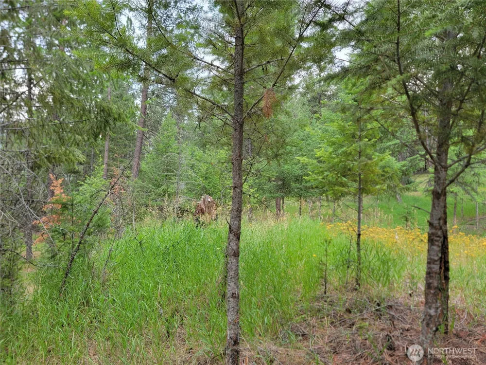 40 Evergreen Drive Curlew, WA 99118