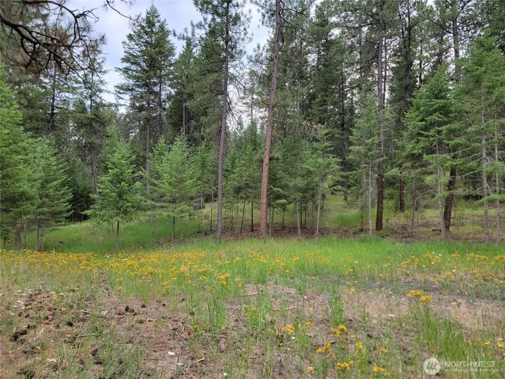 40 Evergreen Drive Curlew, WA 99118