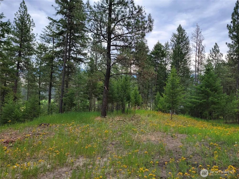 40 Evergreen Drive Curlew, WA 99118