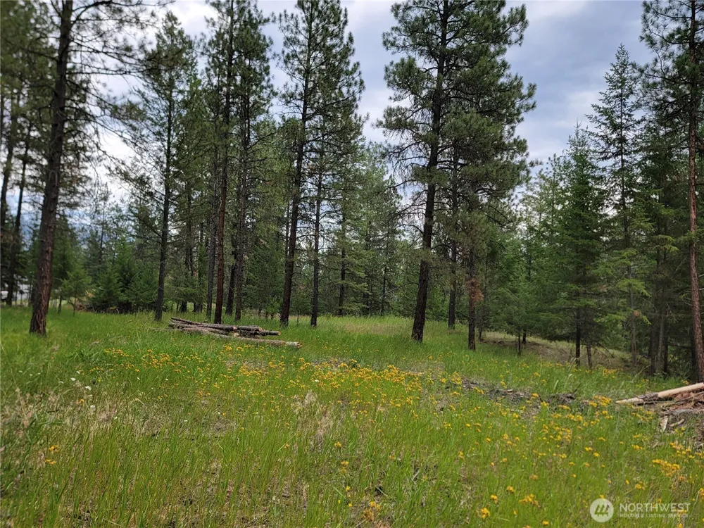 40 Evergreen Drive Curlew, WA 99118