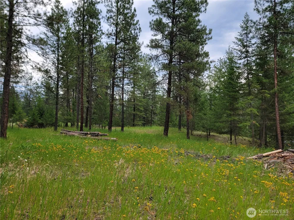40 Evergreen Drive Curlew, WA 99118