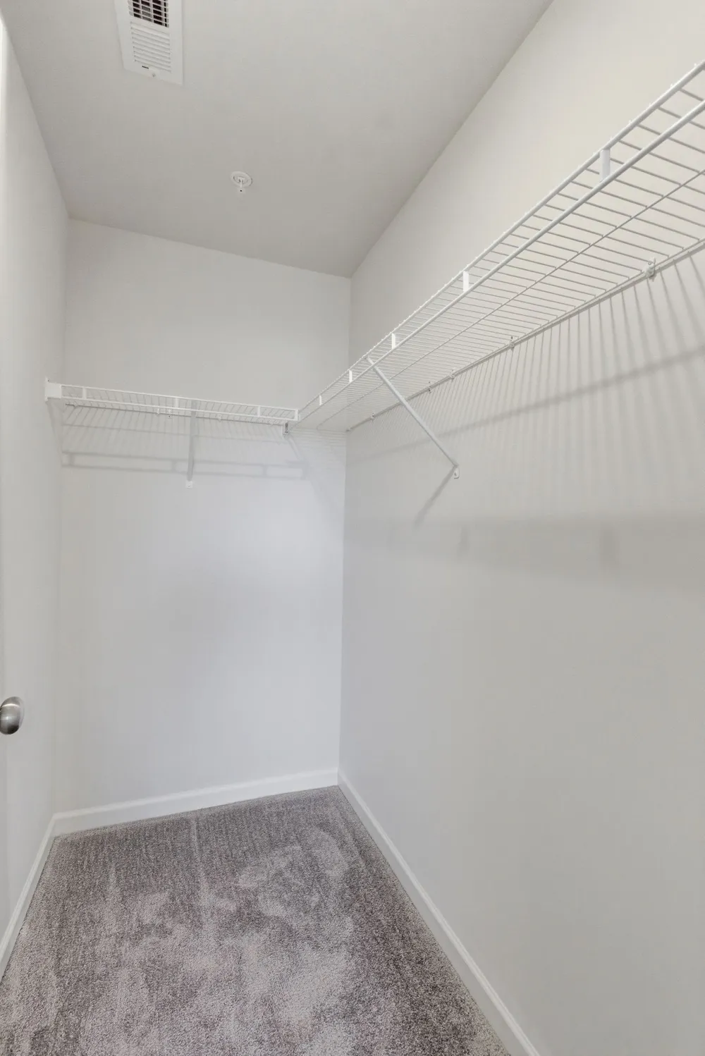 564 Trinity Way Spring Hill, TN 37174