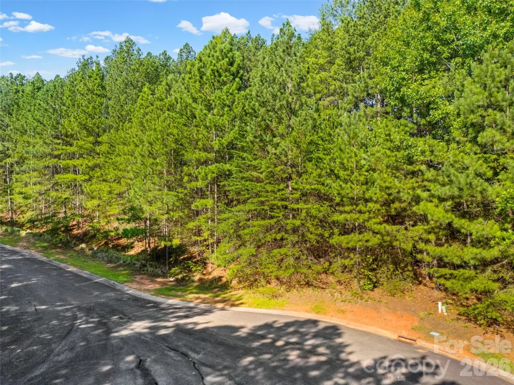2117 Wood Clough Court #341 Belmont, NC 28012