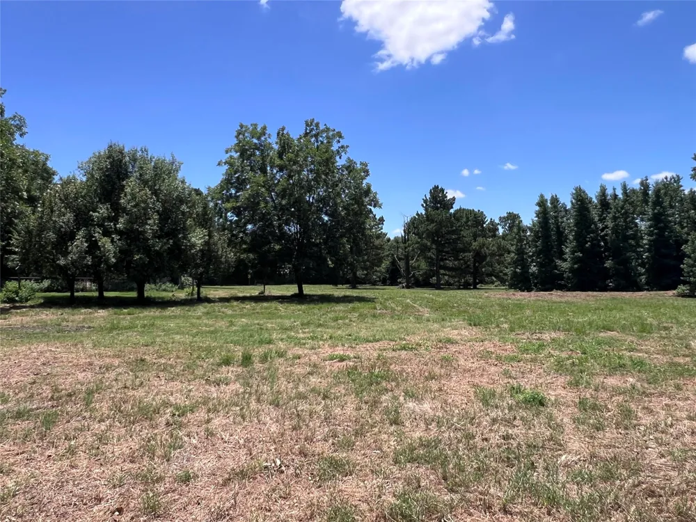 16926 County Road 4336 Larue, TX 75770