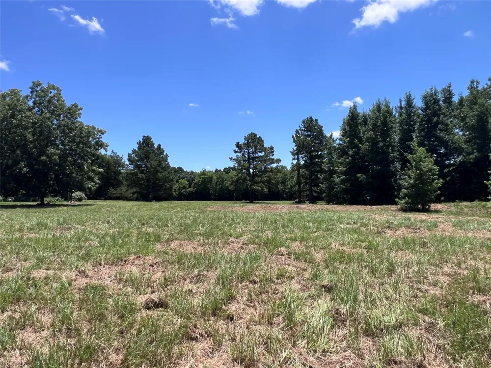 16926 County Road 4336 Larue, TX 75770