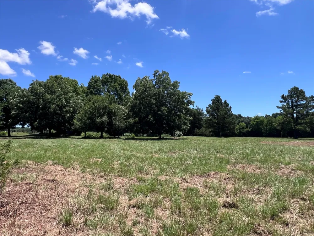 16926 County Road 4336 Larue, TX 75770