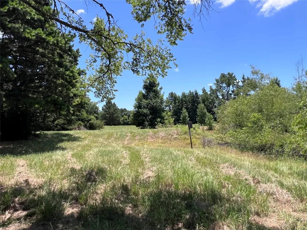 16926 County Road 4336 Larue, TX 75770