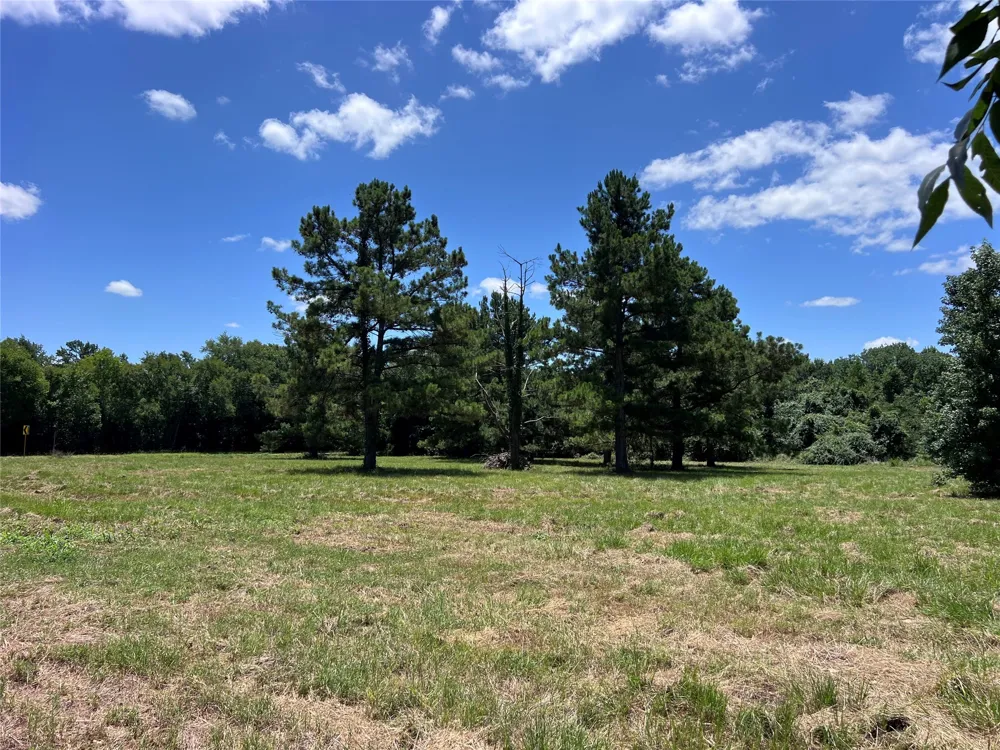 16926 County Road 4336 Larue, TX 75770