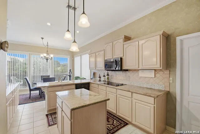 23006 Starbright San Antonio, TX 78258